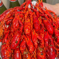 Fresh Crawfish | Premium Seafood • Perfect for Parties & Gatherings