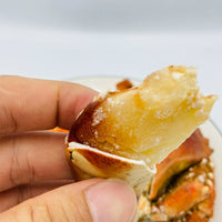Fresh Bread Crab | Premium Seafood | Tender Meat & High-Protein Nutrition