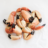 Florida Stone Crab Claws