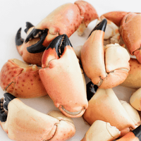 Florida Stone Crab Claws