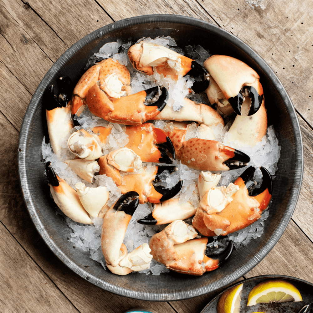 Florida Stone Crab Claws