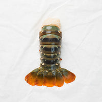 Fresh Frozen Lobster Tails | Premium Seafood • Tender Meat • High-Protein