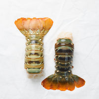 Surf & Turf Bundle: 2 x 14–16 oz Lobster Tails + 2 x 5 oz Filet Mignon