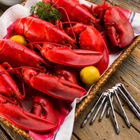 1.75 lb Maine Lobster – Whole Cooked Lobster with Plump Claws & Sweet, Tender Meat