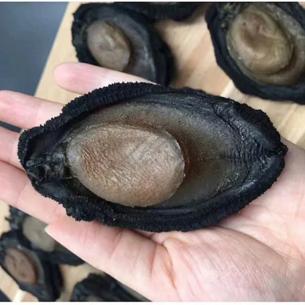 Whole Dried Abalone | Traditional Dried Seafood | Firm Texture | Ideal for Soup & Braising